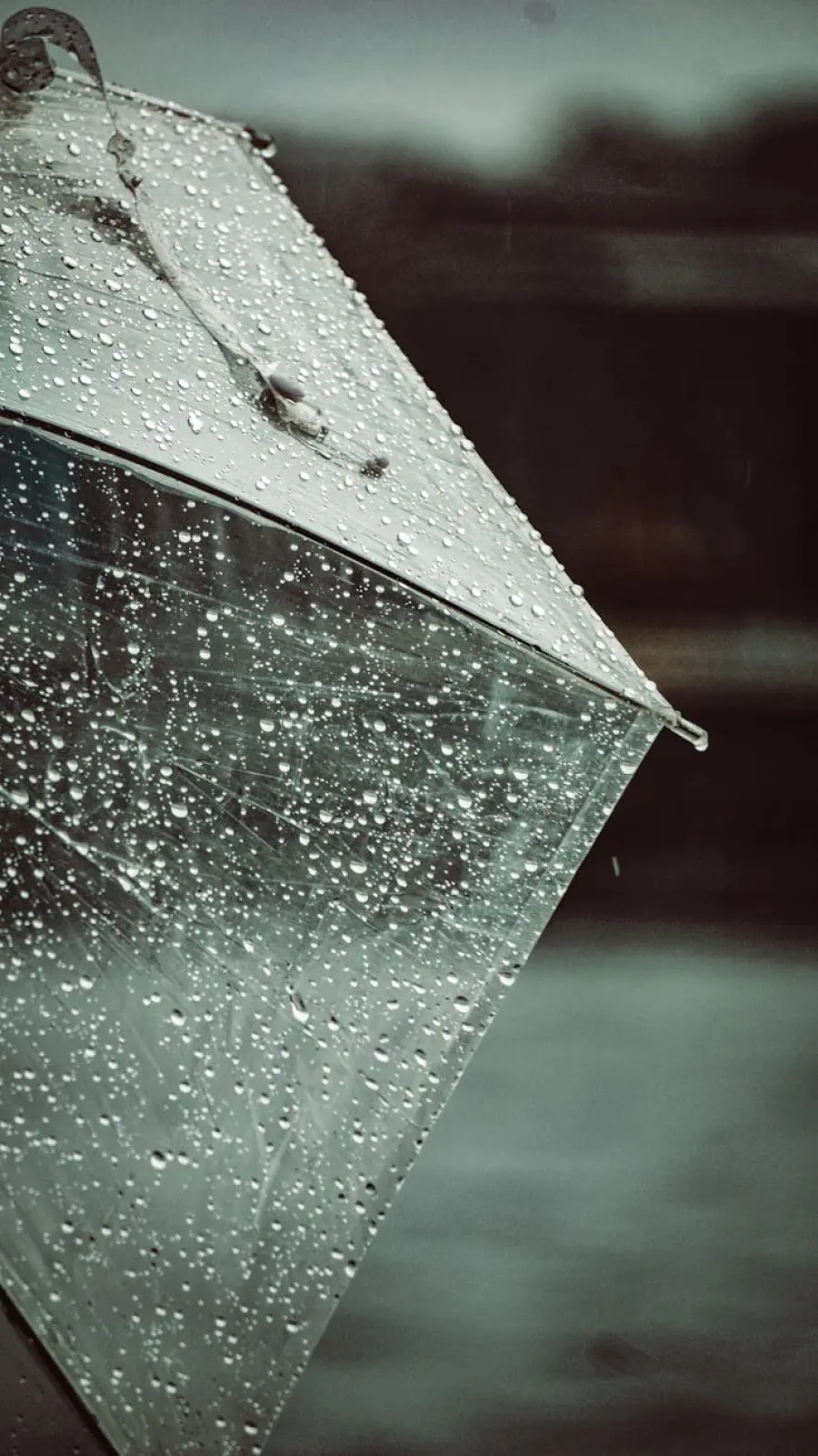 Piemonte, allerta gialla per temporali nel sud