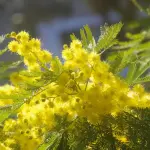 L’8 marzo in Piemonte: mostre e iniziative per celebrare il ruolo delle donne nella storia