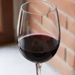 La Barbera d’Asti DOCG e la Nizza DOCG: guida al vino rosso simbolo del Monferrato astigiano