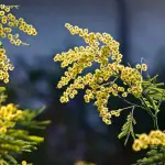Piemonte, iniziativa per dedicare strade e piazze alle donne nel ricordo del voto femminile