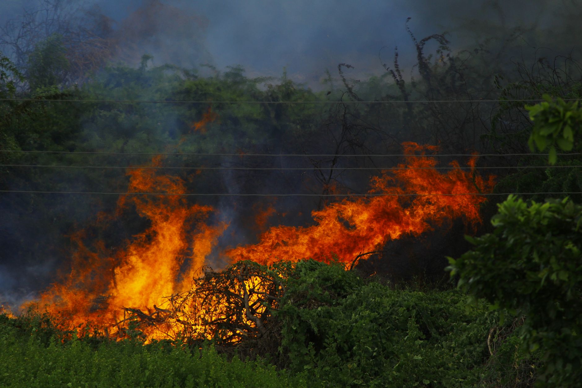 Piemonte, massimo rischio incendi boschivi dall’8 luglio