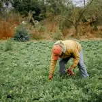 Caporalato in Piemonte, relazione approvata all’unanimità