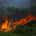 Orbassano, incendio in ditta di rifiuti: Arpa analizza l’aria