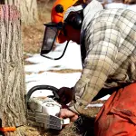 Asti, presentato il piano regolatore di boschi e pascoli: il PFIT per la gestione del territorio