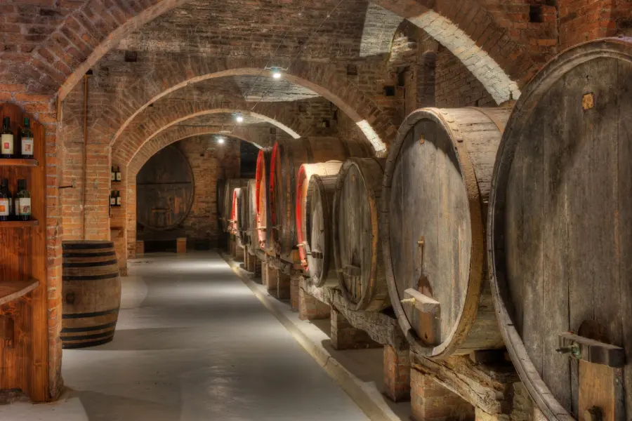 Asti, Douja d’Or 2026: bus nelle cantine e degustazioni in città