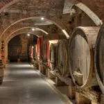 Asti, Douja d’Or 2026: bus nelle cantine e degustazioni in città