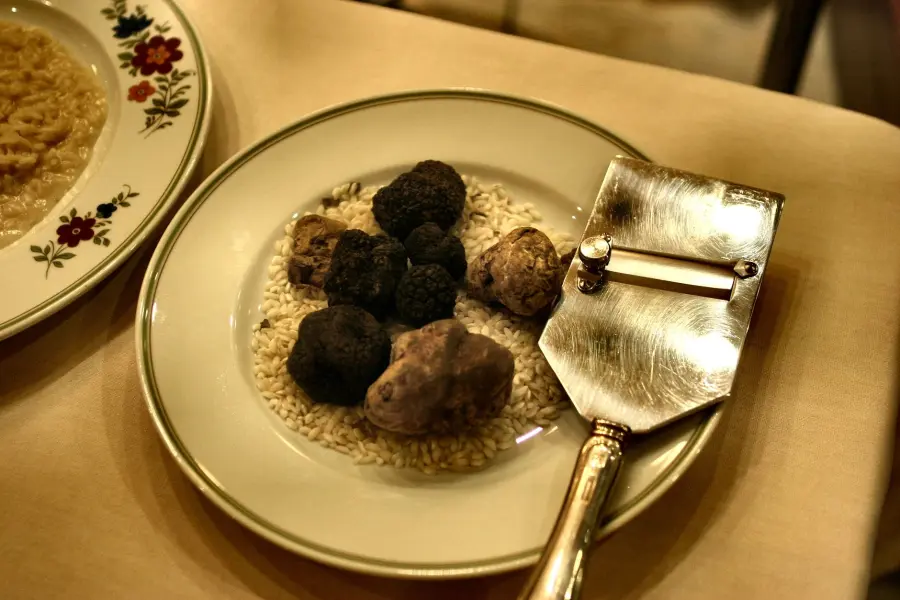 Piemonte, 306mila euro per tutelare le piante da tartufo bianco