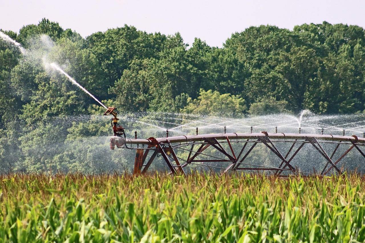 Piemonte investe 29 milioni nell’irrigazione: 241 progetti per modernizzare il sistema idrico agricolo