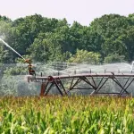Piemonte investe 29 milioni nell’irrigazione: 241 progetti per modernizzare il sistema idrico agricolo