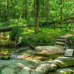 Verde urbano, in Piemonte prende forma la proposta di legge per aiutare i Comuni a pianificare il futuro