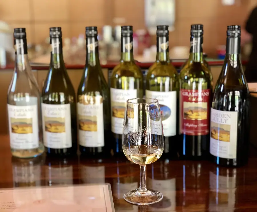 Ciclovino nel Monferrato Astigiano 2026, tra cantine e colline patrimonio Unesco