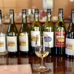 Ciclovino nel Monferrato Astigiano 2026, tra cantine e colline patrimonio Unesco